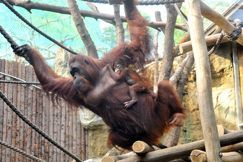zoo-rostock